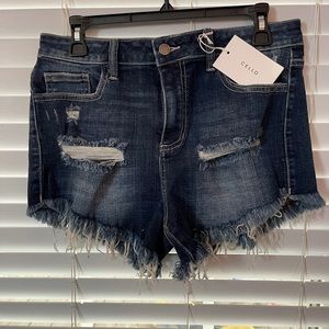 Cello large blue Jean shorts NWT
